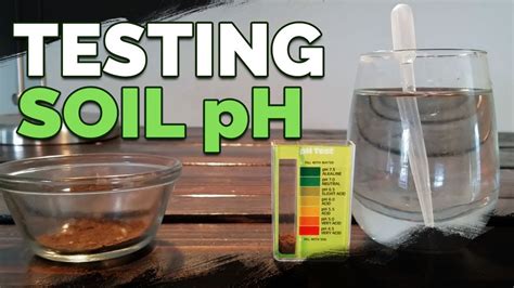 testing soil ph with drops|how to check lawn ph.